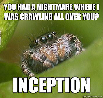 You had a nightmare where i was crawling all over you? INCEPTION - You had a nightmare where i was crawling all over you? INCEPTION  Misunderstood Spider