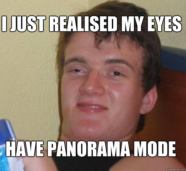 I just realised my eyes have panorama mode - I just realised my eyes have panorama mode  ten guy