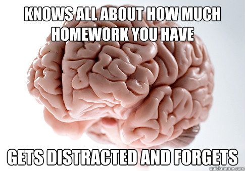 knows all about how much homework you have gets distracted and forgets - knows all about how much homework you have gets distracted and forgets  Scumbag Brain