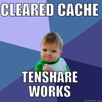 CLEARED CACHE  TENSHARE WORKS Success Kid