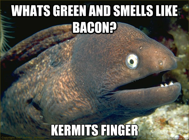 Whats green and smells like bacon? kermits finger  Bad Joke Eel