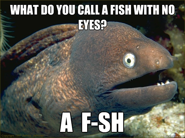 What do you call a fish with no eyes? A  f-sh  Bad Joke Eel