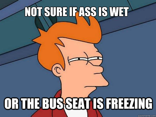 Not sure if ass is wet or the bus seat is freezing  Futurama Fry