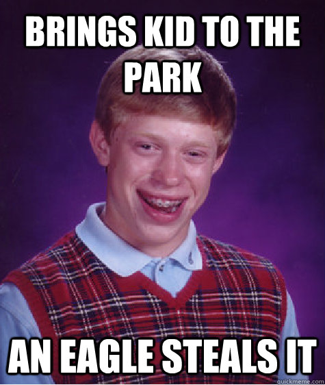 Brings kid to the park an eagle steals it  Bad Luck Brian