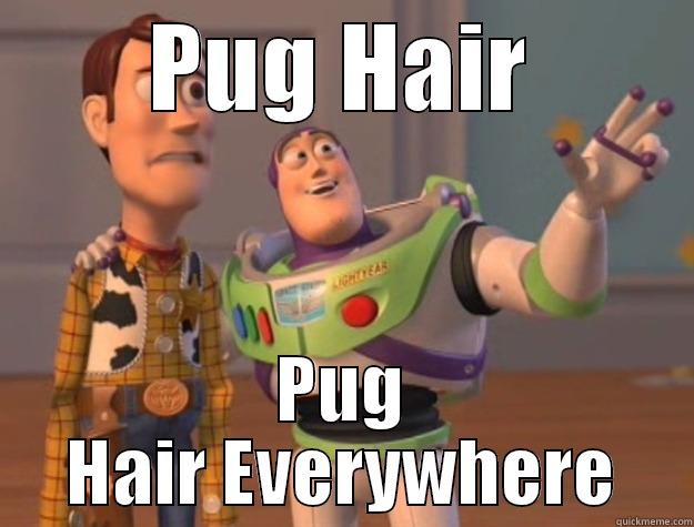 Tis the season... - PUG HAIR PUG HAIR EVERYWHERE Toy Story