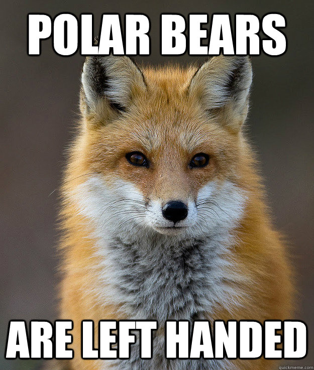 Polar bears are left handed  Fun Fact Fox