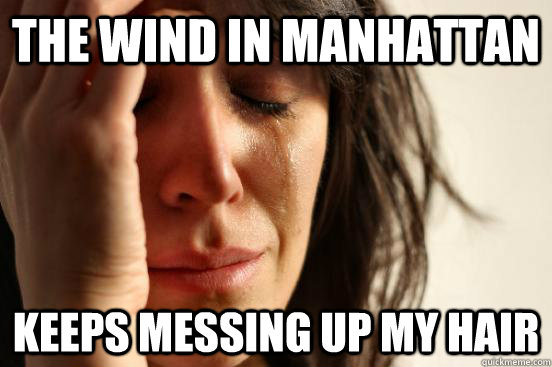 THE WIND IN MANHATTAN KEEPS MESSING UP MY HAIR  First World Problems