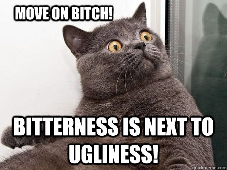 MOVE ON BITCH! BITTERNESS IS NEXT TO UGLINESS! - MOVE ON BITCH! BITTERNESS IS NEXT TO UGLINESS!  conspiracy cat