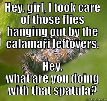 Calamari  - HEY, GIRL, I TOOK CARE OF THOSE FLIES HANGING OUT BY THE CALAMARI LEFTOVERS. HEY, WHAT ARE YOU DOING WITH THAT SPATULA? Misunderstood Spider