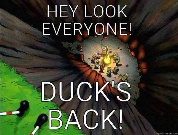 HEY LOOK EVERYONE! DUCK'S BACK! Misc