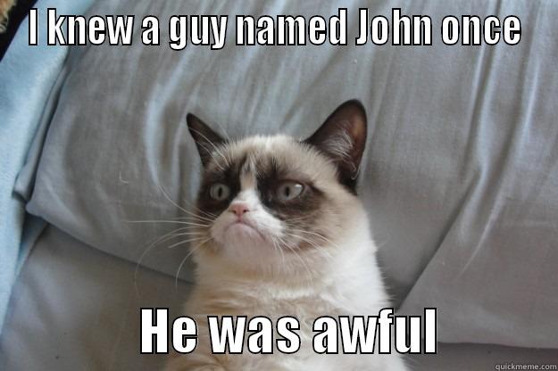 I KNEW A GUY NAMED JOHN ONCE                HE WAS AWFUL            Grumpy Cat