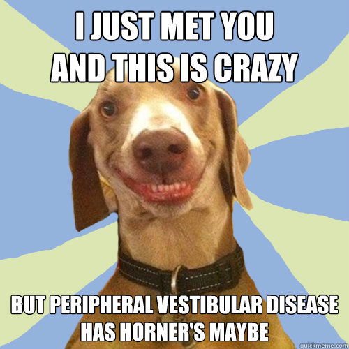 I just met you
And this is crazy but peripheral vestibular disease
Has Horner's maybe  Disgusting Doggy