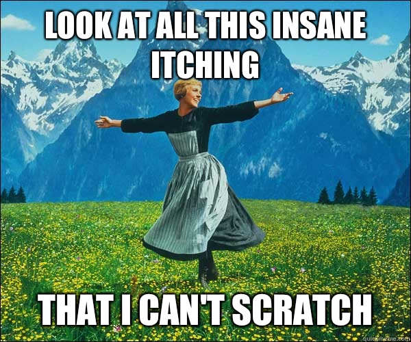 Look at all this insane itching That I can't scratch  Sound of Music