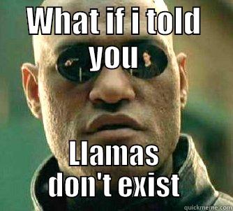 WHAT IF I TOLD YOU LLAMAS DON'T EXIST Matrix Morpheus