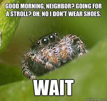 Good morning, neighbor? Going for a stroll? Oh, no I don't wear shoes. WAIT - Good morning, neighbor? Going for a stroll? Oh, no I don't wear shoes. WAIT  Misunderstood Spider