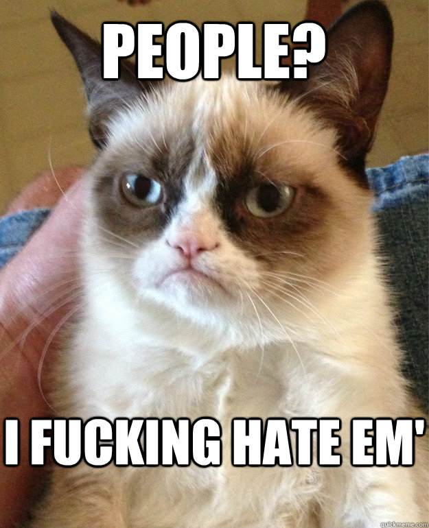 People? I fucking hate em'  Grumpy Cat