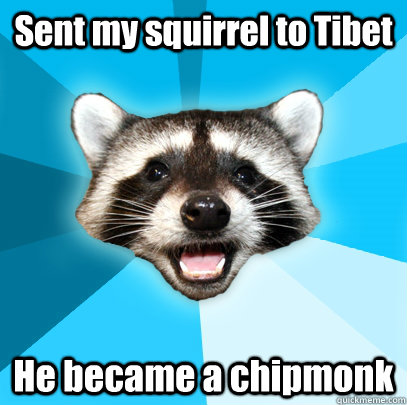 Sent my squirrel to Tibet He became a chipmonk  Lame Pun Coon