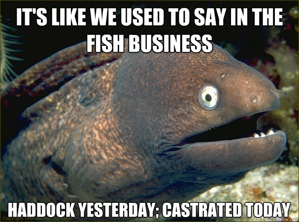 It's like we used to say in the fish business Haddock yesterday; castrated today  - It's like we used to say in the fish business Haddock yesterday; castrated today   Bad Joke Eel