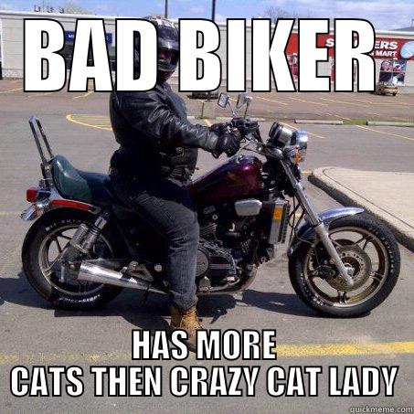BAD BIKER HAS MORE CATS THEN CRAZY CAT LADY Misc