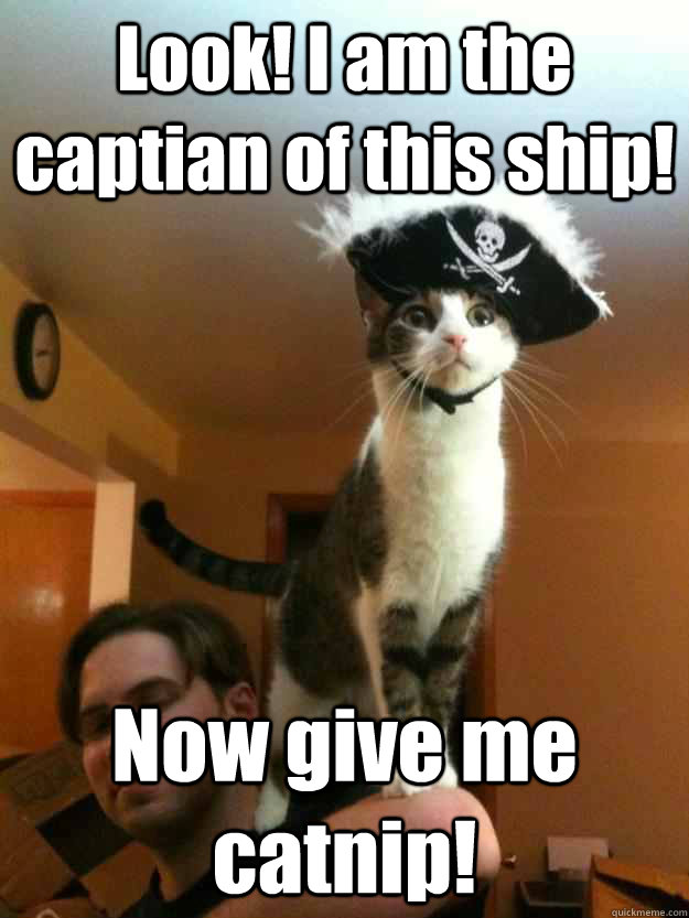 Look! I am the captian of this ship! Now give me catnip! - Look! I am the captian of this ship! Now give me catnip!  Misc