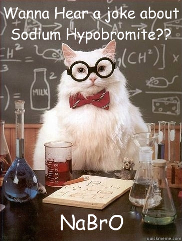 Wanna Hear a joke about Sodium Hypobromite?? NaBrO - Wanna Hear a joke about Sodium Hypobromite?? NaBrO  Chemistry Cat