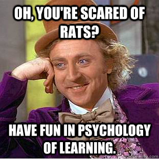 Oh, you're scared of rats? Have fun in psychology of learning. - Oh, you're scared of rats? Have fun in psychology of learning.  Condescending Wonka