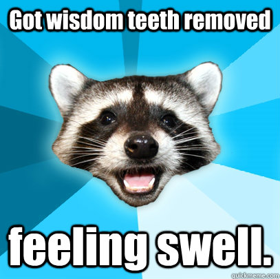 Got wisdom teeth removed feeling swell.  Lame Pun Coon