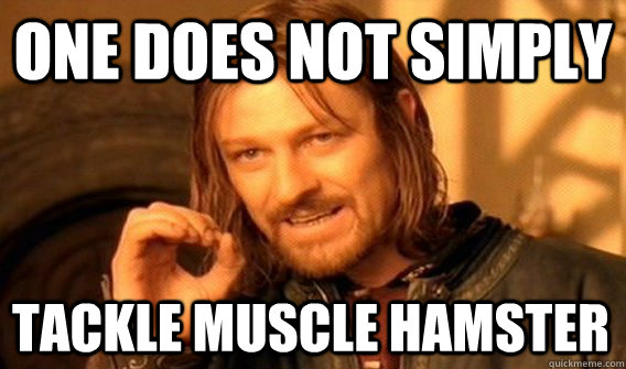 ONE DOES NOT SIMPLY TACKLE MUSCLE HAMSTER  One Does Not Simply