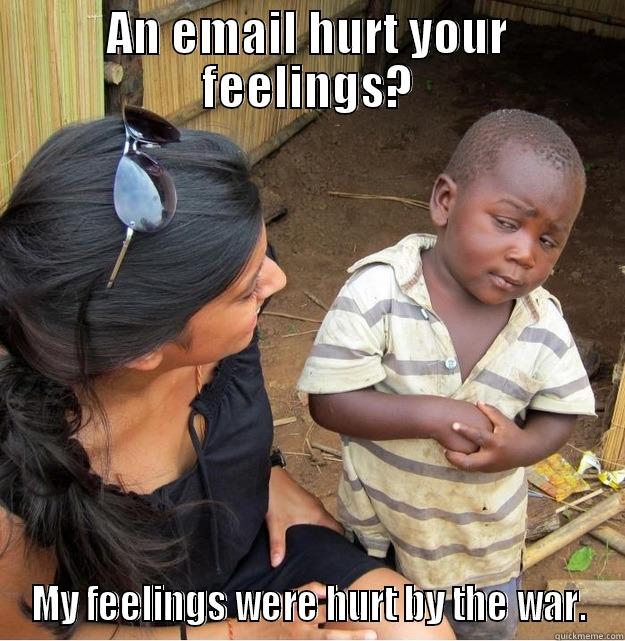 Snarky Email - AN EMAIL HURT YOUR FEELINGS? MY FEELINGS WERE HURT BY THE WAR. Skeptical Third World Kid