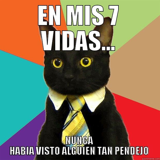 EN MIS 7 VIDAS... NUNCA HABIA VISTO ALGUIEN TAN PENDEJO Business Cat