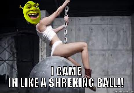  I CAME IN LIKE A SHREKING BALL!! Misc