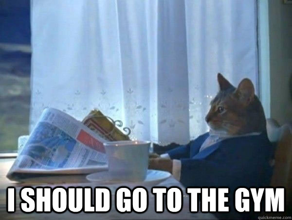  I should go to the gym  morning realization newspaper cat meme