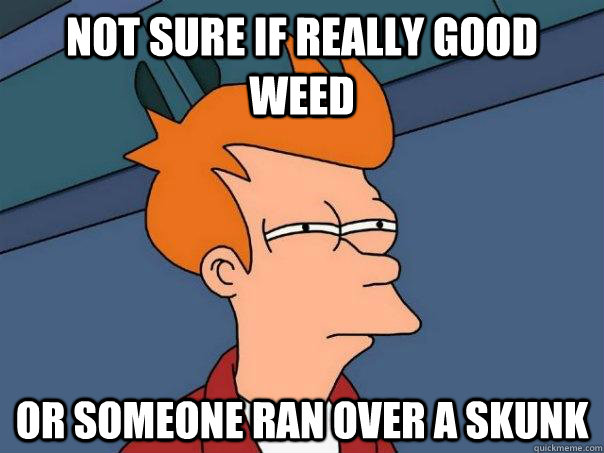 Not sure if really good weed or someone ran over a skunk  Futurama Fry