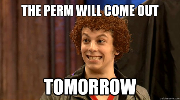 The perm will come out tomorrow - The perm will come out tomorrow  Little Orphan Dave