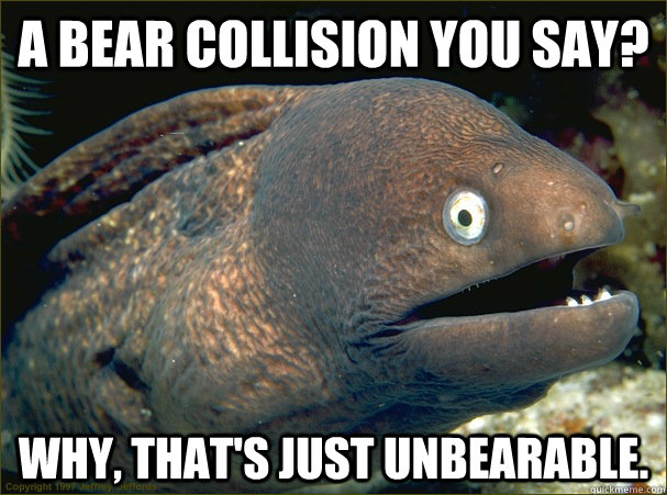 A bear collision you say? Why, that's just unbearable. - A bear collision you say? Why, that's just unbearable.  Bad Joke Eel