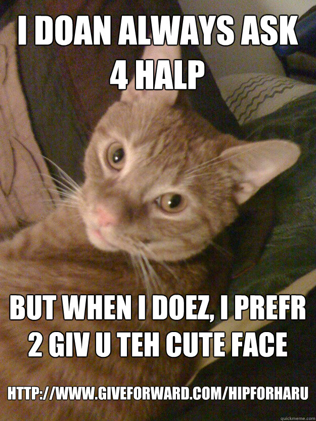 I DOAN ALWAYS ASK 4 HALP BUT WHEN I DOEZ, I PREFR 2 GIV U TEH CUTE FACE http://www.giveforward.com/hipforharu - I DOAN ALWAYS ASK 4 HALP BUT WHEN I DOEZ, I PREFR 2 GIV U TEH CUTE FACE http://www.giveforward.com/hipforharu  HIP4HARU