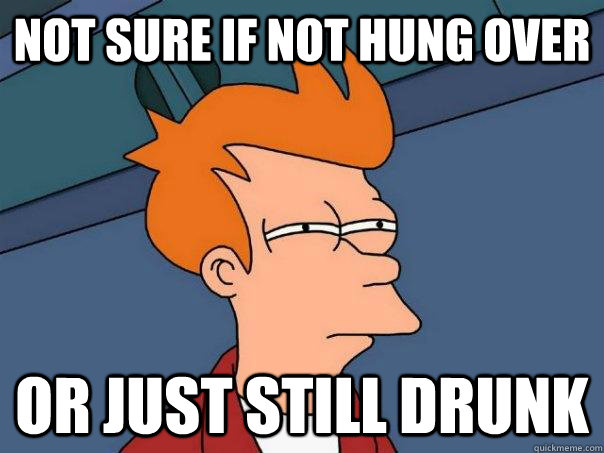 Not sure if not hung over Or just still drunk  Futurama Fry