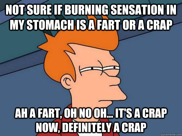 Not sure if burning sensation in my stomach is a fart or a crap ah a fart, oh no oh... it's a crap now, definitely a crap  Futurama Fry