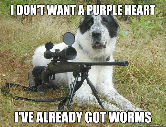 I don't want a purple heart i've already got worms - I don't want a purple heart i've already got worms  Misc