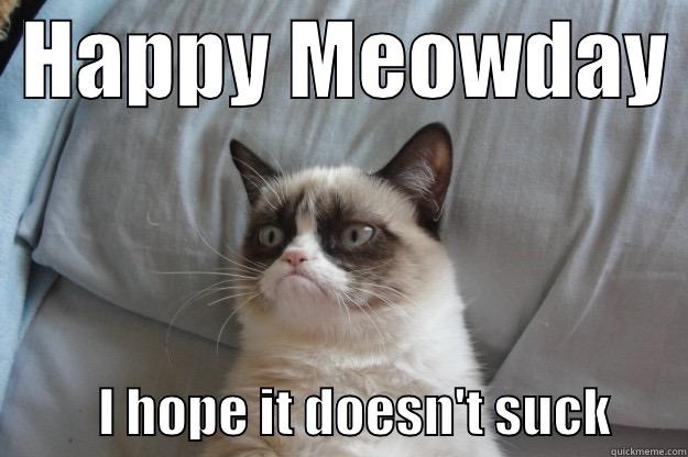 Mondays Suck -  HAPPY MEOWDAY            I HOPE IT DOESN'T SUCK       Grumpy Cat