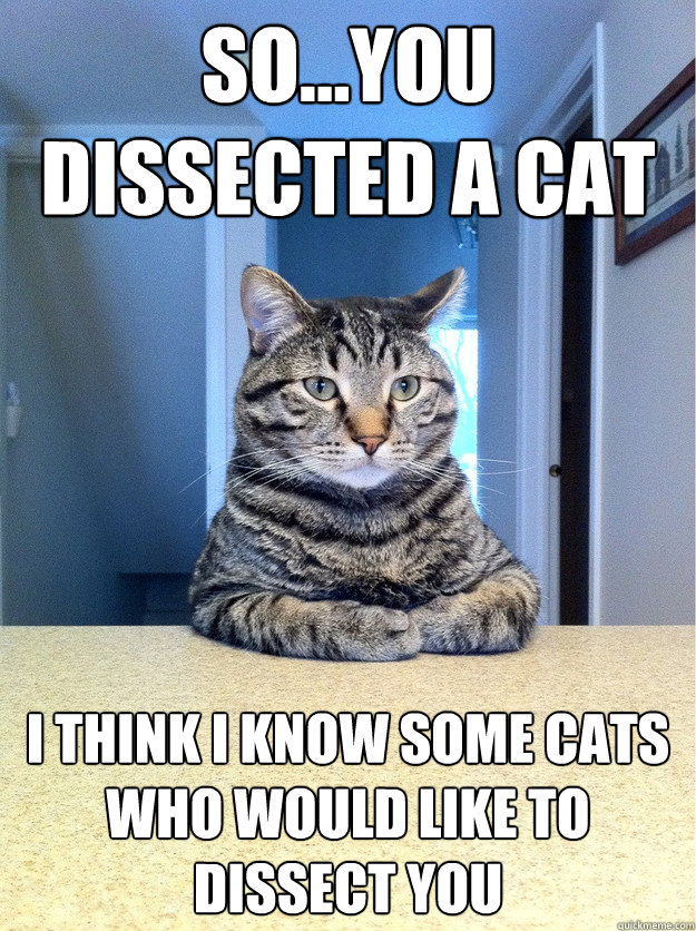 so...you dissected a cat i think i know some cats who would like to dissect you - so...you dissected a cat i think i know some cats who would like to dissect you  Chris Hansen Cat