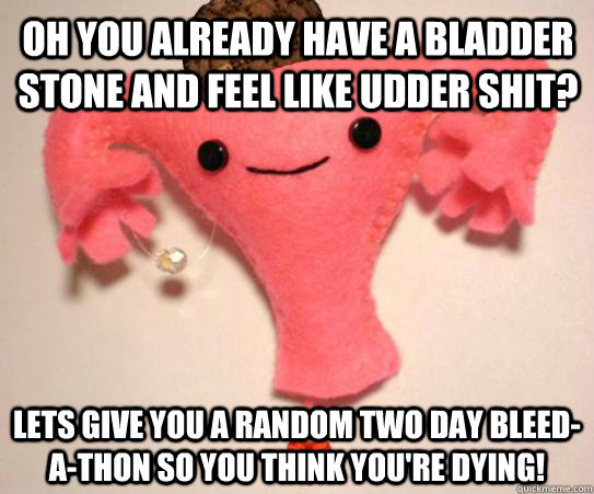 Oh you already have a bladder stone and feel like udder shit? Lets give you a random two day bleed-a-thon so you think you're dying!  Scumbag Uterus