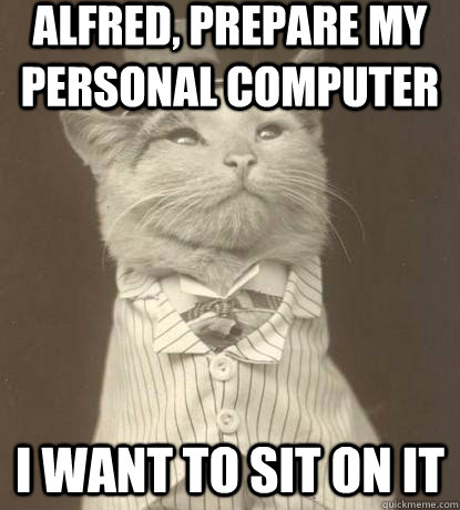 alfred, prepare my personal computer i want to sit on it  Aristocat