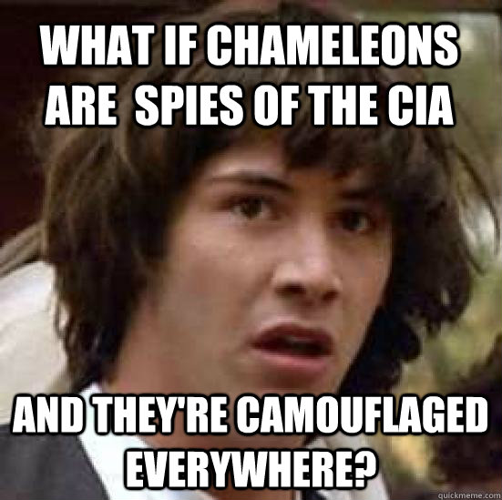 What if chameleons are  spies of the CIA  and they're camouflaged everywhere?  conspiracy keanu