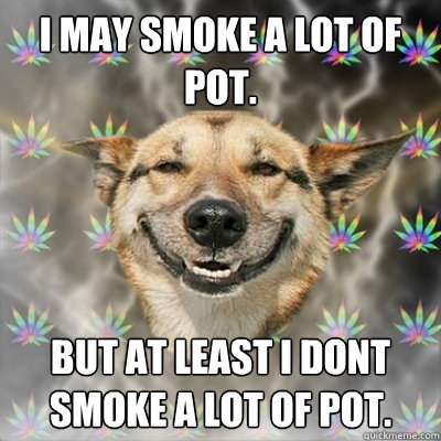 I may smoke a lot of pot. But at least I dont smoke a lot of pot.  Stoner Dog