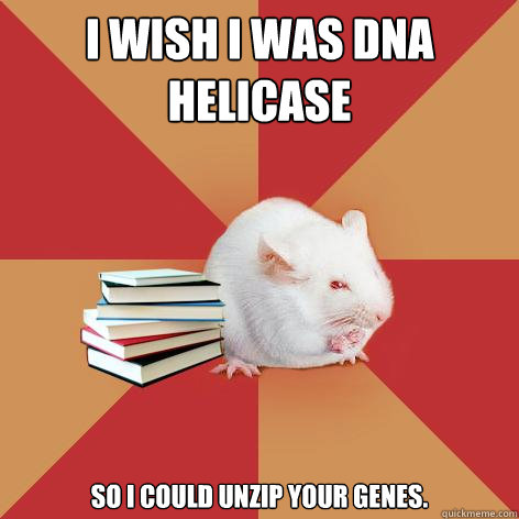 I wish I was DNA helicase so I could unzip your genes.  Science Major Mouse