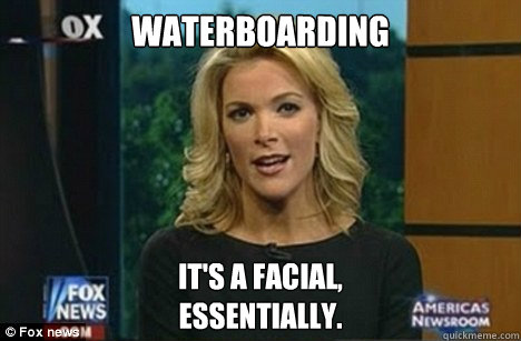 Waterboarding It's a facial,
Essentially.  Megyn Kelly