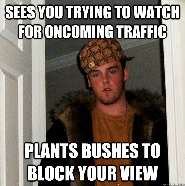 sees you trying to watch for oncoming traffic plants bushes to block your view - sees you trying to watch for oncoming traffic plants bushes to block your view  Scumbag Steve