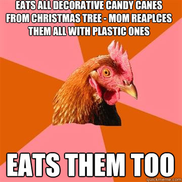 eats all decorative candy canes from christmas tree - mom reaplces them all with plastic ones eats them too    Anti-Joke Chicken