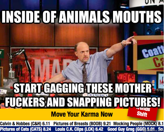 Inside of animals mouths start gagging these mother fuckers and snapping pictures! - Inside of animals mouths start gagging these mother fuckers and snapping pictures!  Mad Karma with Jim Cramer